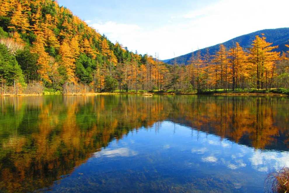 上高地楓葉