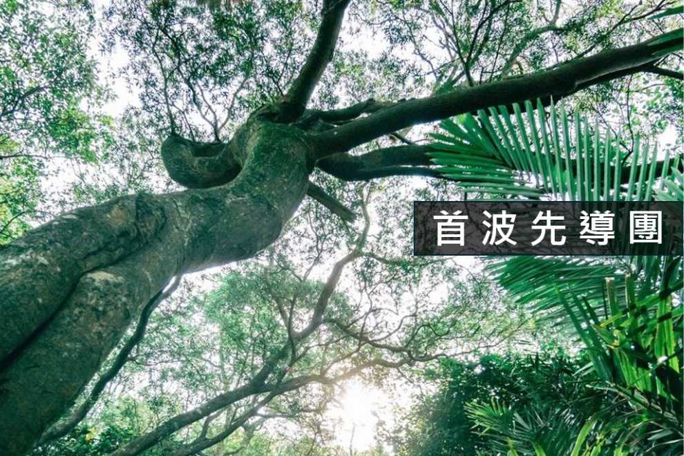 首波縱走活動